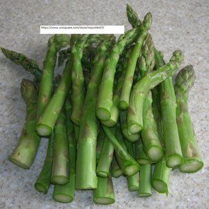 Mary Washington Asparagus Seeds - Vegetable Seeds - BOGO